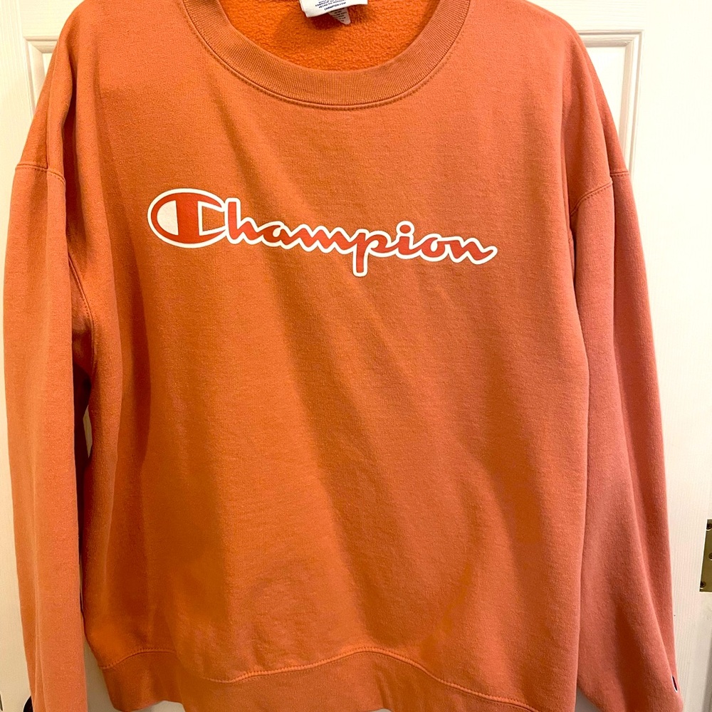 Champion Sweater